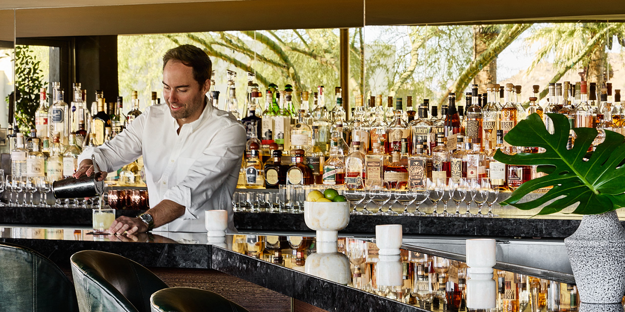 Bartender in a white shirt pouring a drink at a stylish bar with a wide variety of bottles behind and a large leafy plant on the counter.