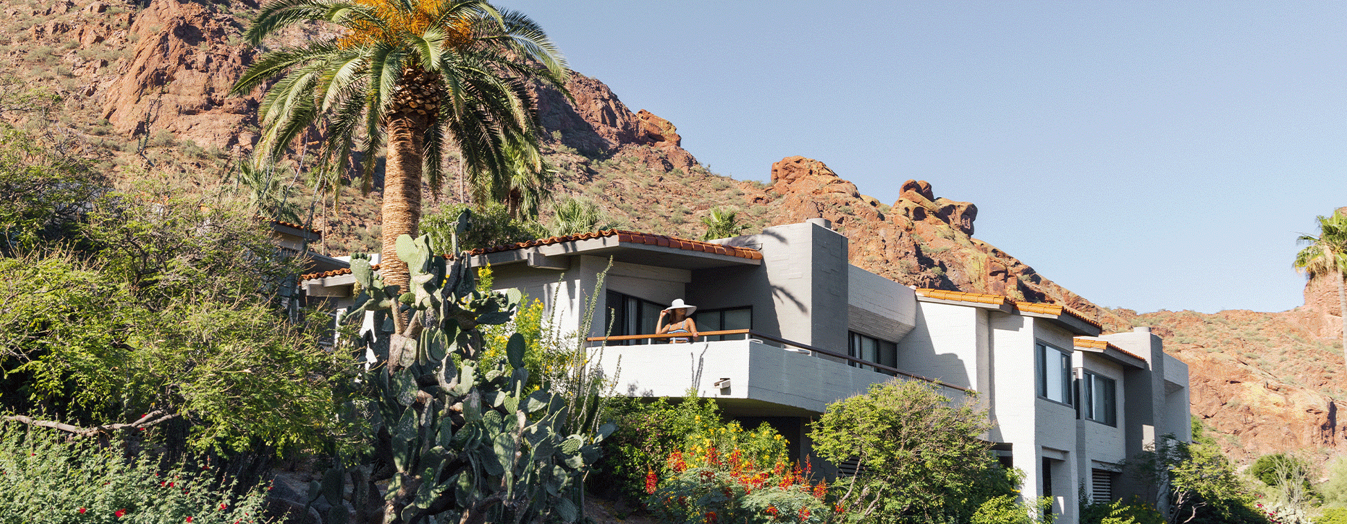 Modern house surrounded by desert plants and palm trees, set against rocky hills under a clear blue sky.