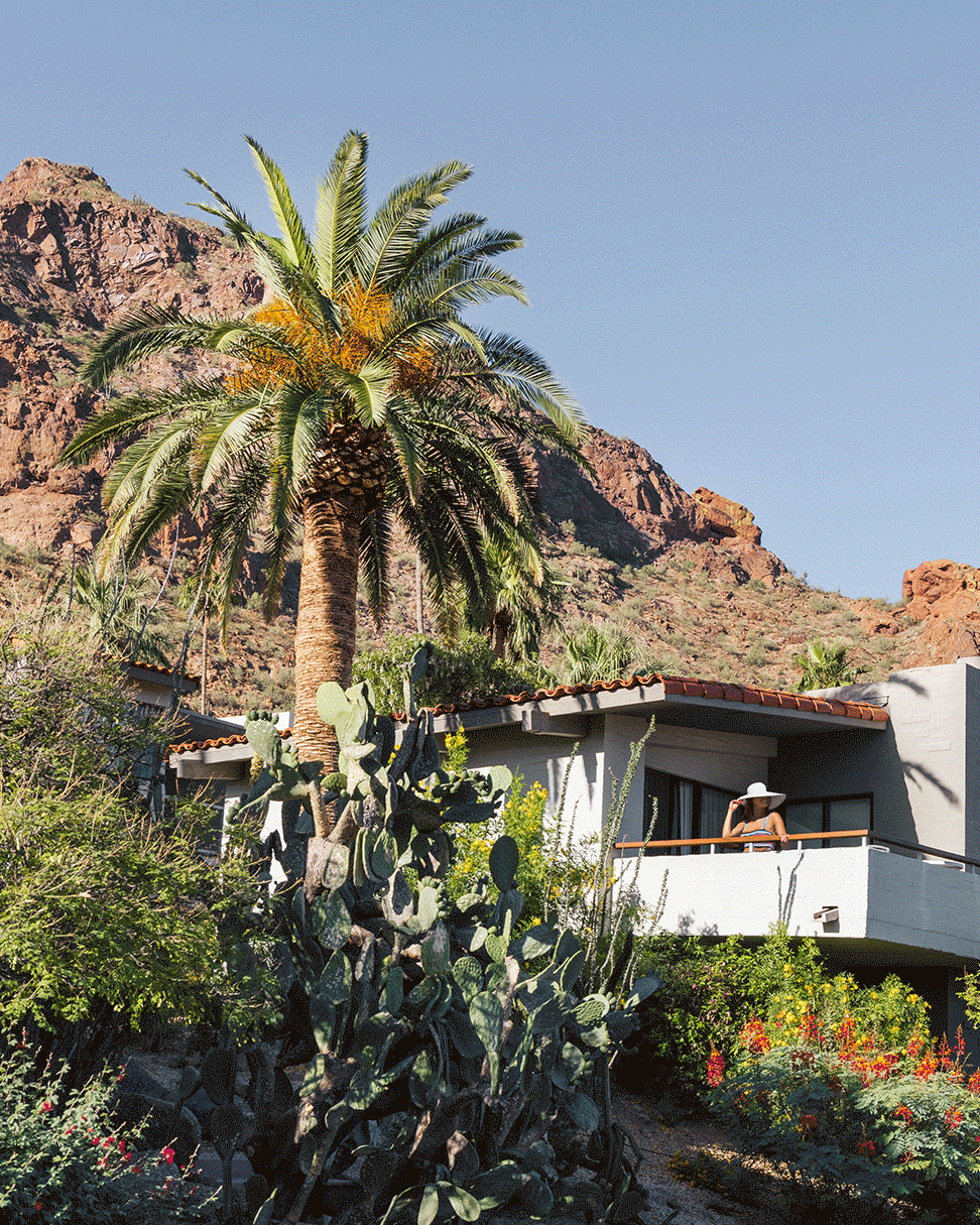 Desert house with palm tree and cacti, set against a rocky mountain under a clear blue sky.