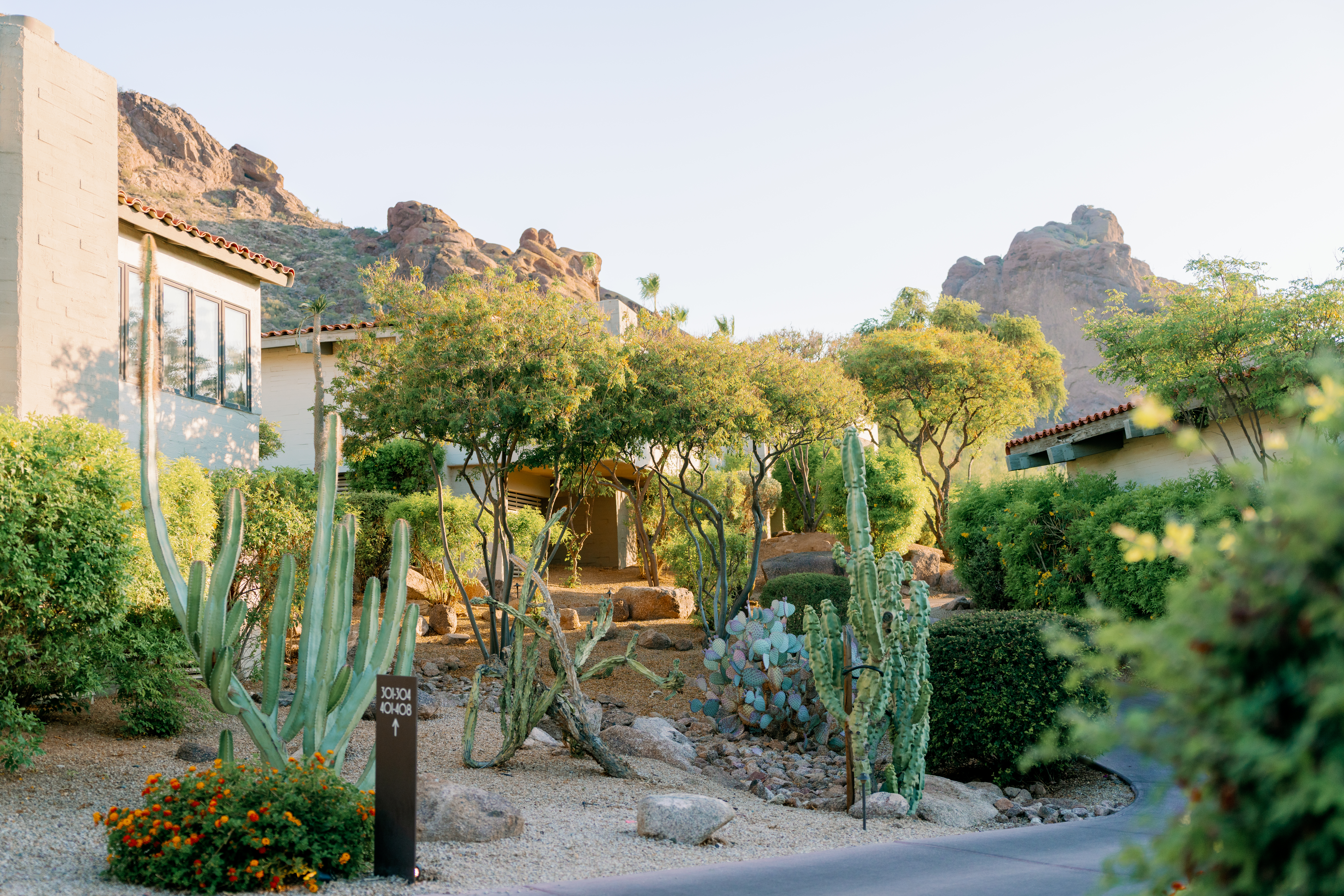 A curving paved path runs beside a gravel garden with columnar cacti and orange marigolds, past low stucco buildings and a room-number sign.