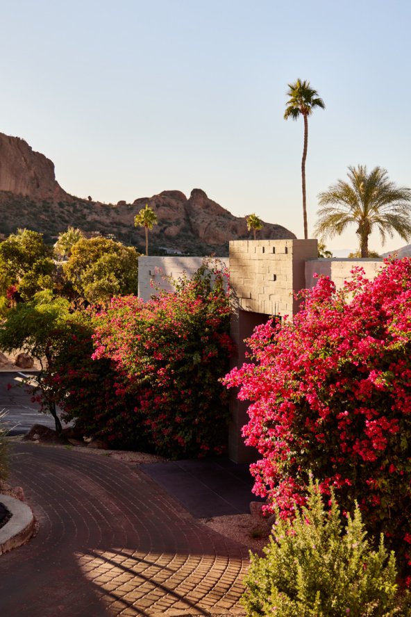 Lush desert landscape outside of Mountain Casitas and Suites.