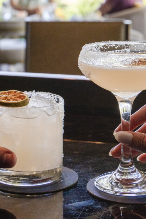 agave spirits