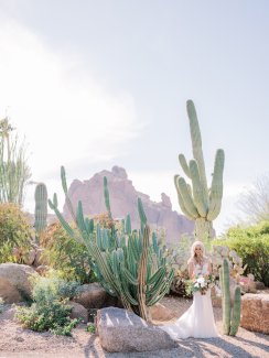 Bride in desert landscape